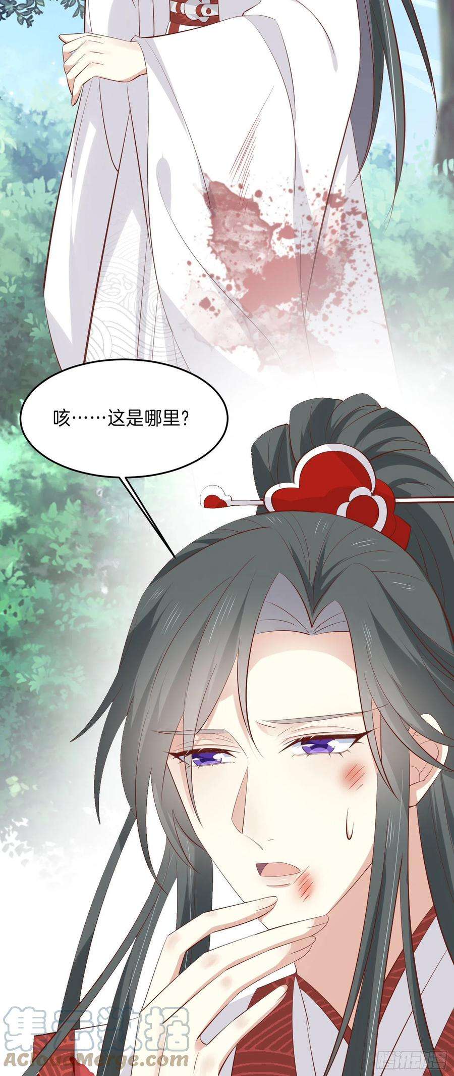 至尊瞳术师：绝世大小姐二百三十四话 病弱美男上线