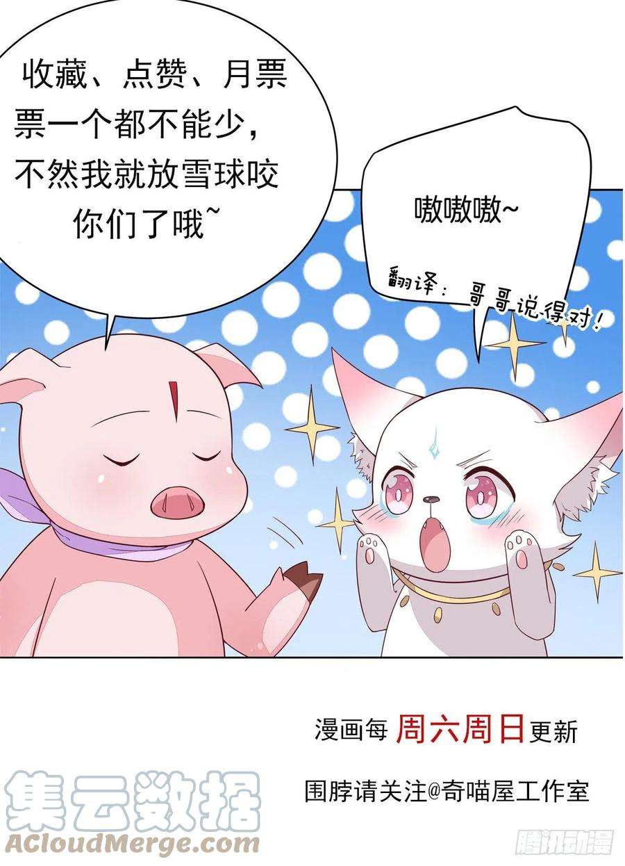 至尊瞳术师：绝世大小姐二百三十四话 病弱美男上线