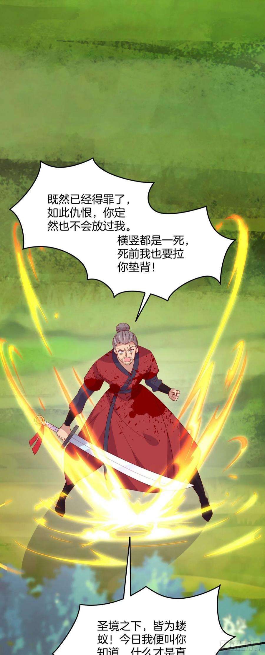 至尊瞳术师：绝世大小姐三百一十二话 圣境之力