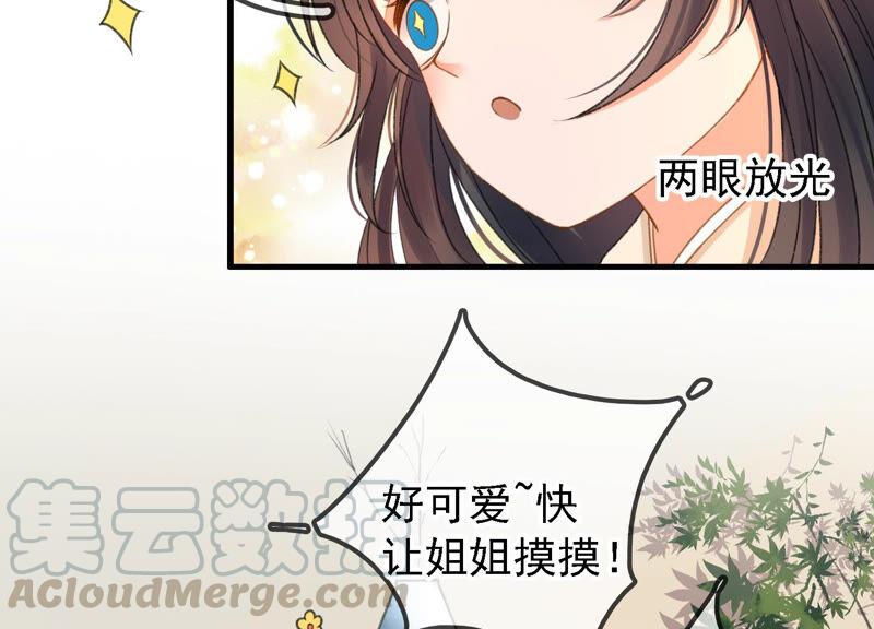 太子，你好甜12话 往事