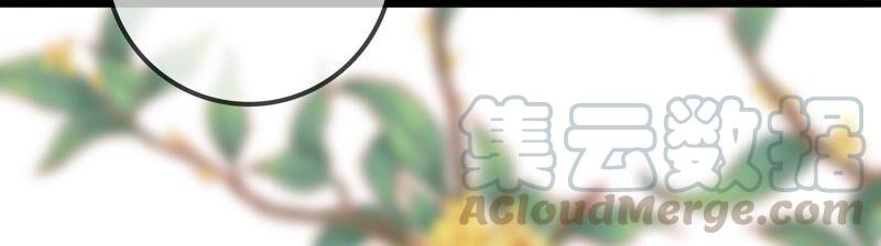 太子，你好甜13话 十七王爷