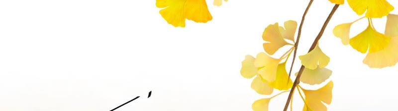 太子，你好甜13话 十七王爷