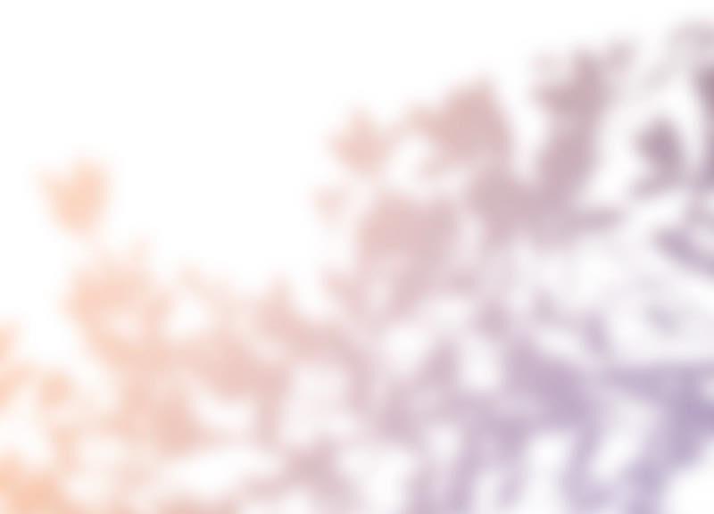 太子，你好甜云映与乐陶新年番外