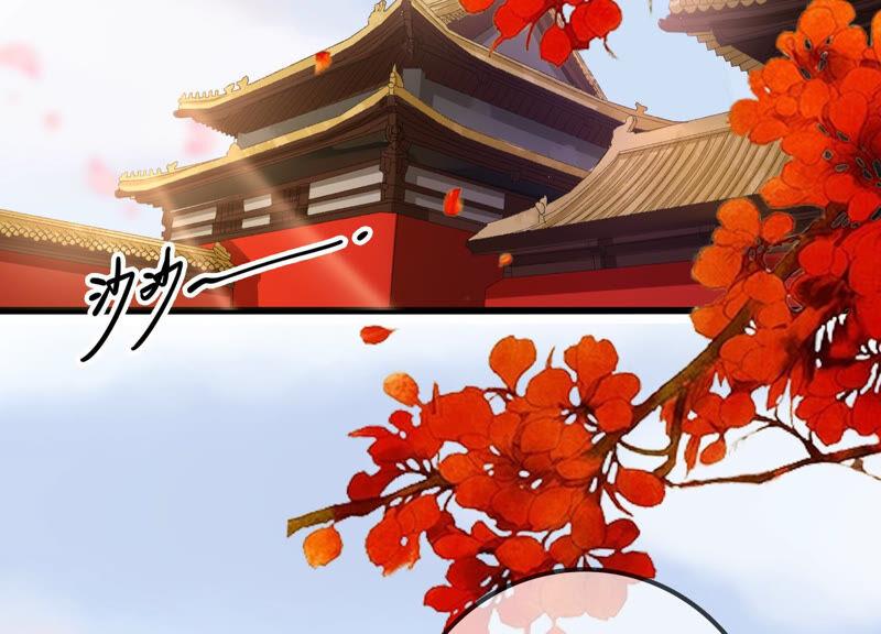 太子，你好甜云映与乐陶新年番外