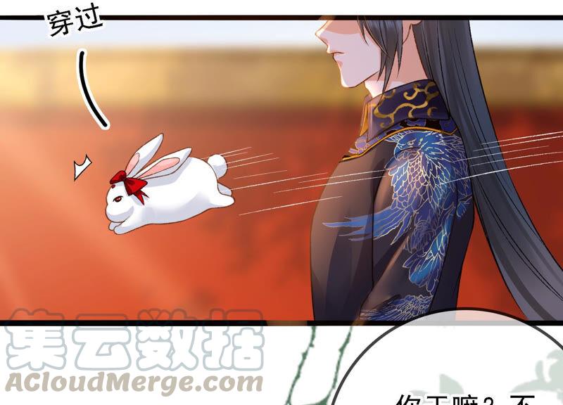 太子，你好甜22话 身世之谜