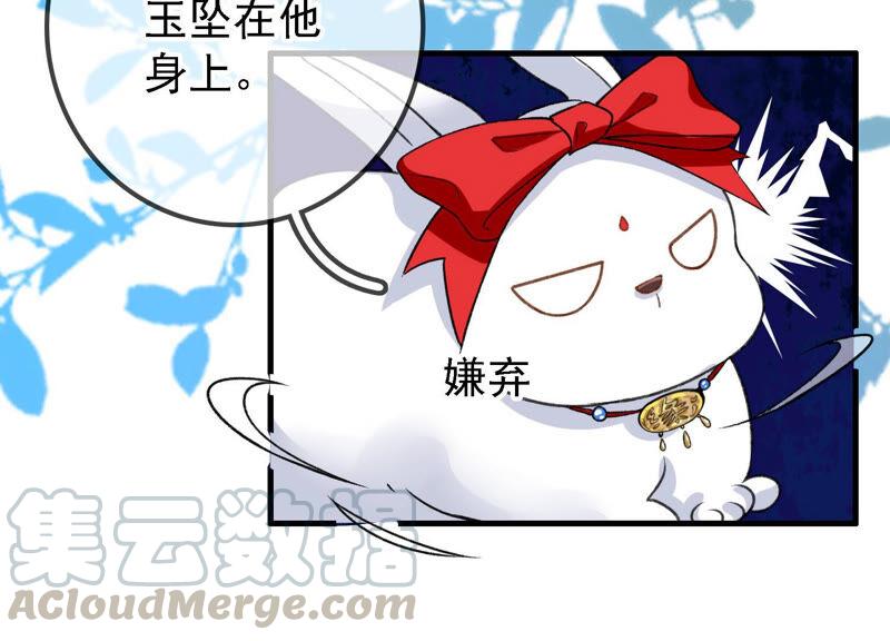 太子，你好甜22话 身世之谜