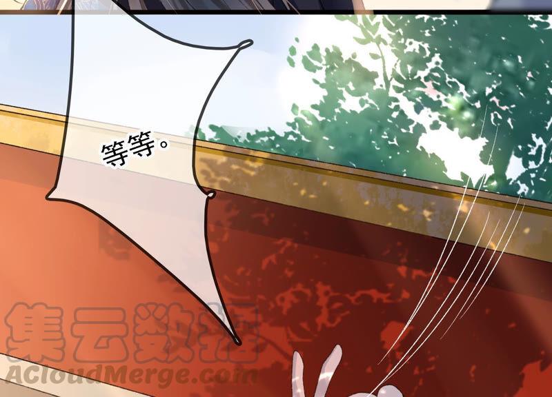 太子，你好甜22话 身世之谜