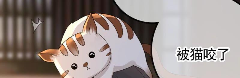 太子，你好甜27话 失忆？