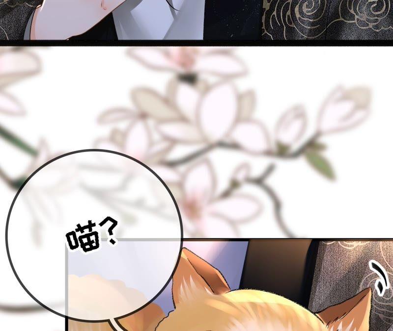 太子，你好甜27话 失忆？