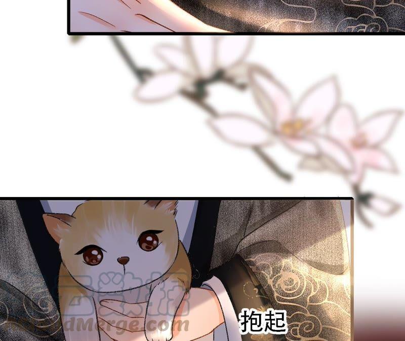 太子，你好甜27话 失忆？