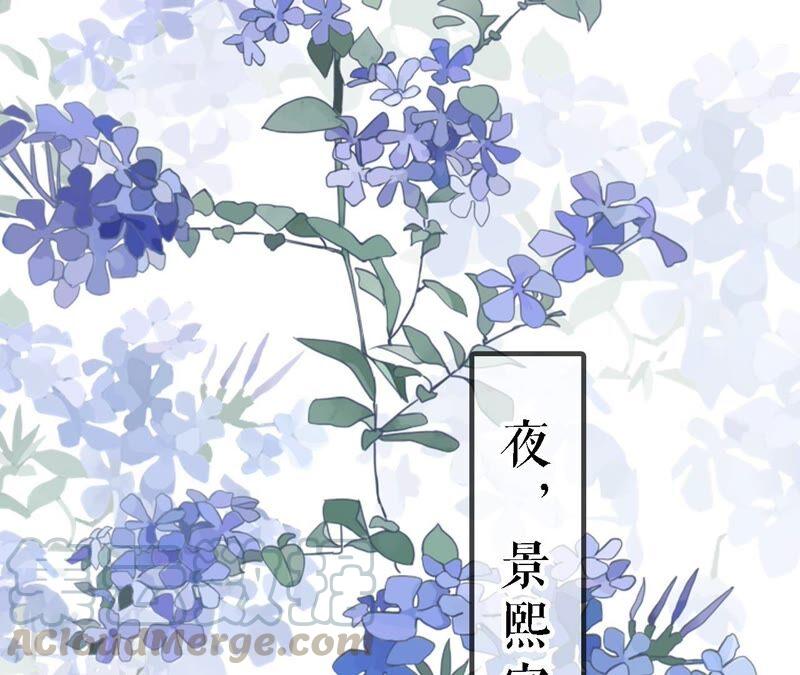 太子，你好甜27话 失忆？