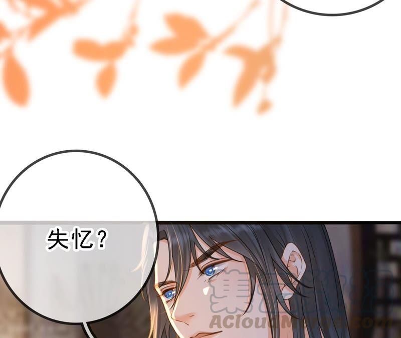 太子，你好甜27话 失忆？