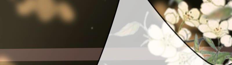 太子，你好甜28话 偶遇