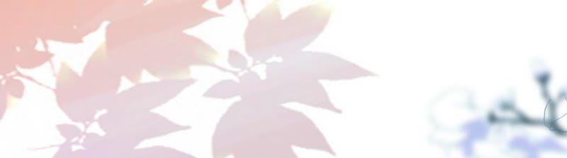 太子，你好甜30话 任务成功