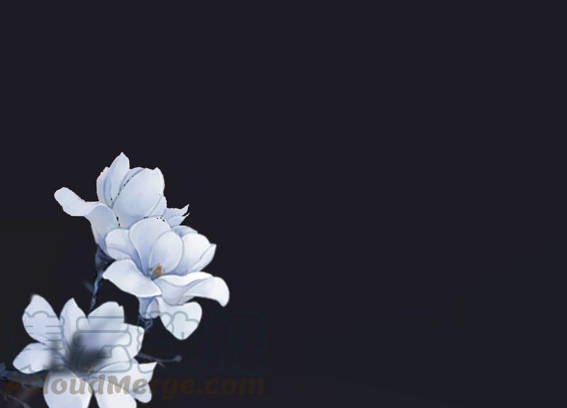 太子，你好甜31话 妹妹的消息