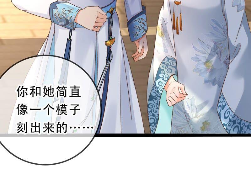 太子，你好甜41话 栽赃嫁祸