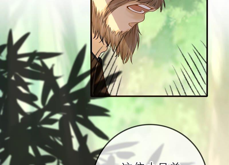 太子，你好甜41话 栽赃嫁祸