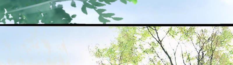 太子，你好甜41话 栽赃嫁祸