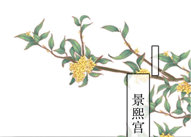 太子，你好甜46话 真假凤凰