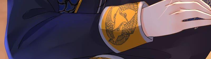 太子，你好甜46话 真假凤凰