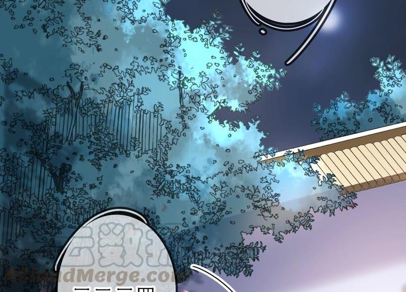 太子，你好甜46话 真假凤凰