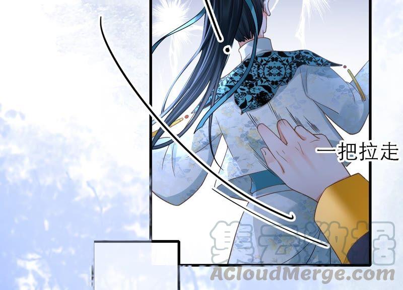 太子，你好甜46话 真假凤凰