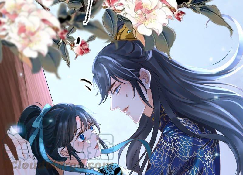 太子，你好甜46话 真假凤凰