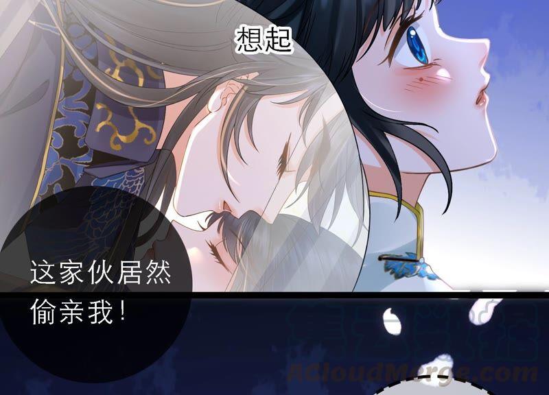 太子，你好甜46话 真假凤凰