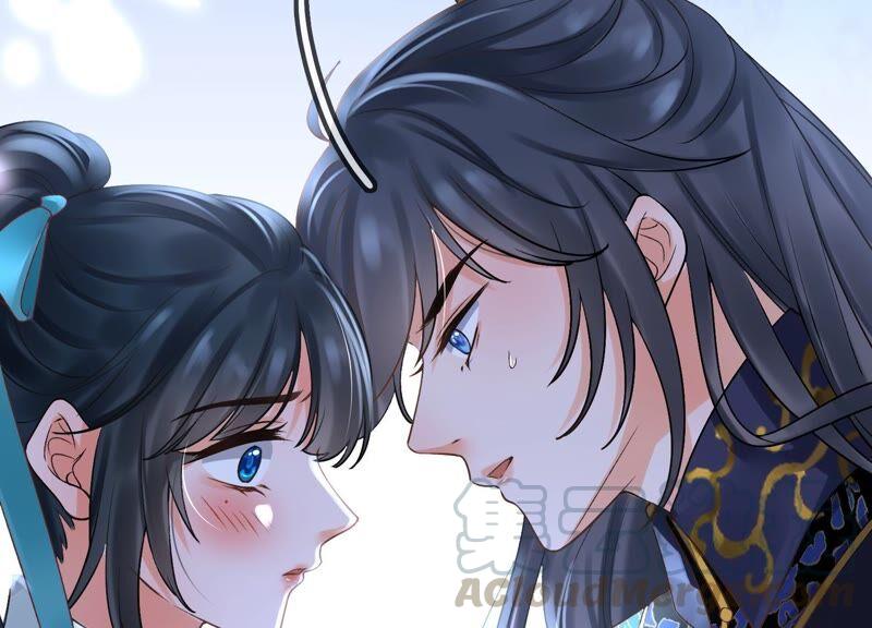 太子，你好甜46话 真假凤凰