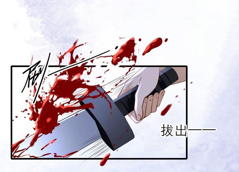 太子，你好甜47话 遇刺