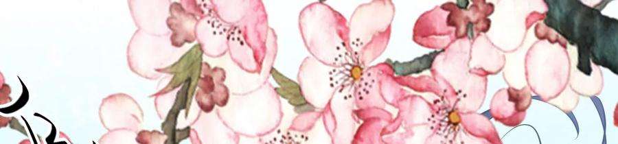 太子，你好甜67话 获救