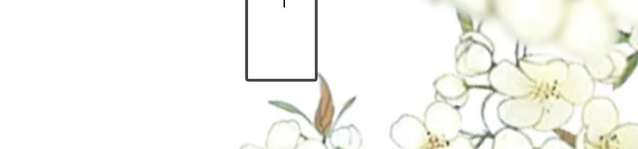 太子，你好甜70话 童年的玄玉