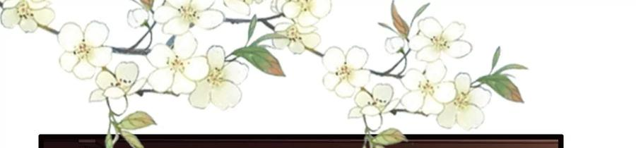 太子，你好甜77话 见到云映