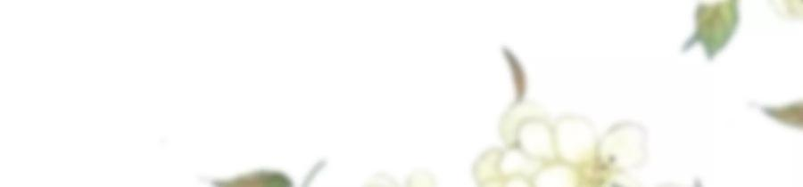 太子，你好甜77话 见到云映