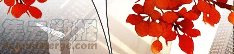 太子，你好甜79话 重逢