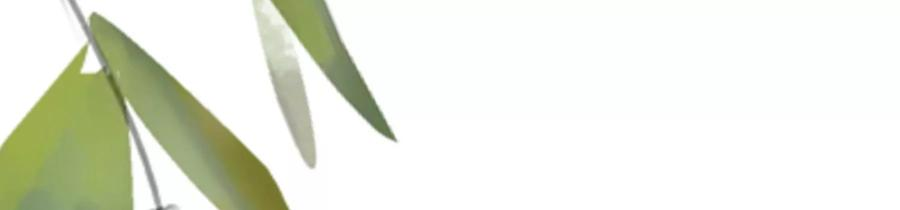 太子，你好甜82话 恭亲王受伤