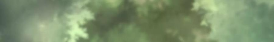 太子，你好甜96话 要跟你上战场