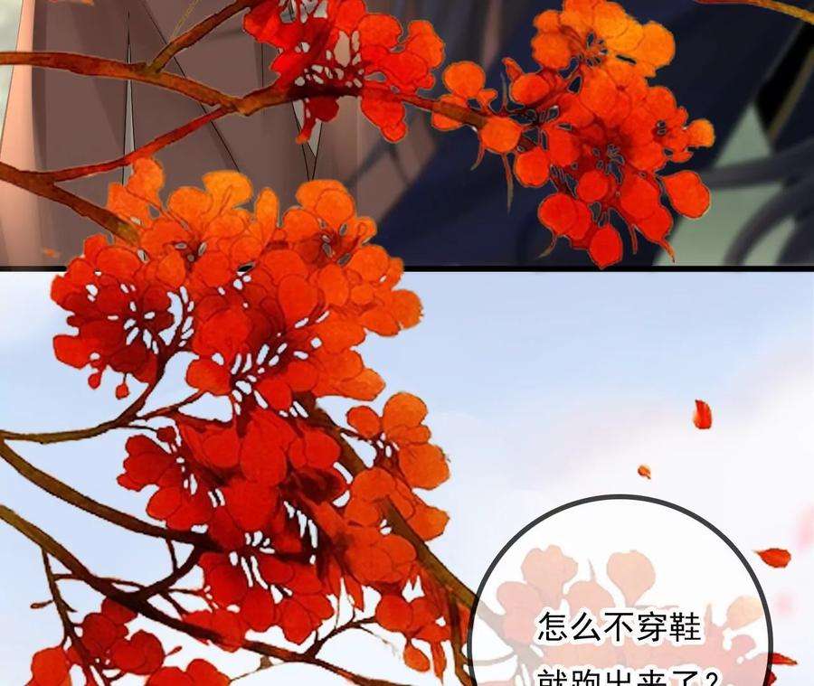 太子，你好甜96话 要跟你上战场