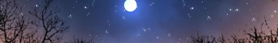 太子，你好甜100话 冷家人找上门