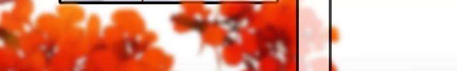 太子，你好甜108话 告别