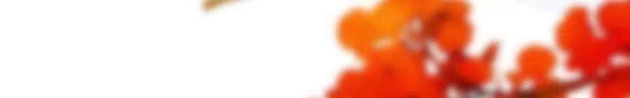 太子，你好甜112话 决不能让他们成亲！