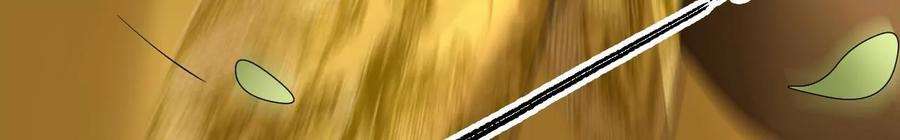 太子，你好甜118话 庚帖被盗