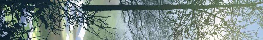 太子，你好甜132话 砍他脑袋！