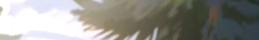 太子，你好甜134 拿到兵符