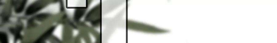 太子，你好甜139话 白事