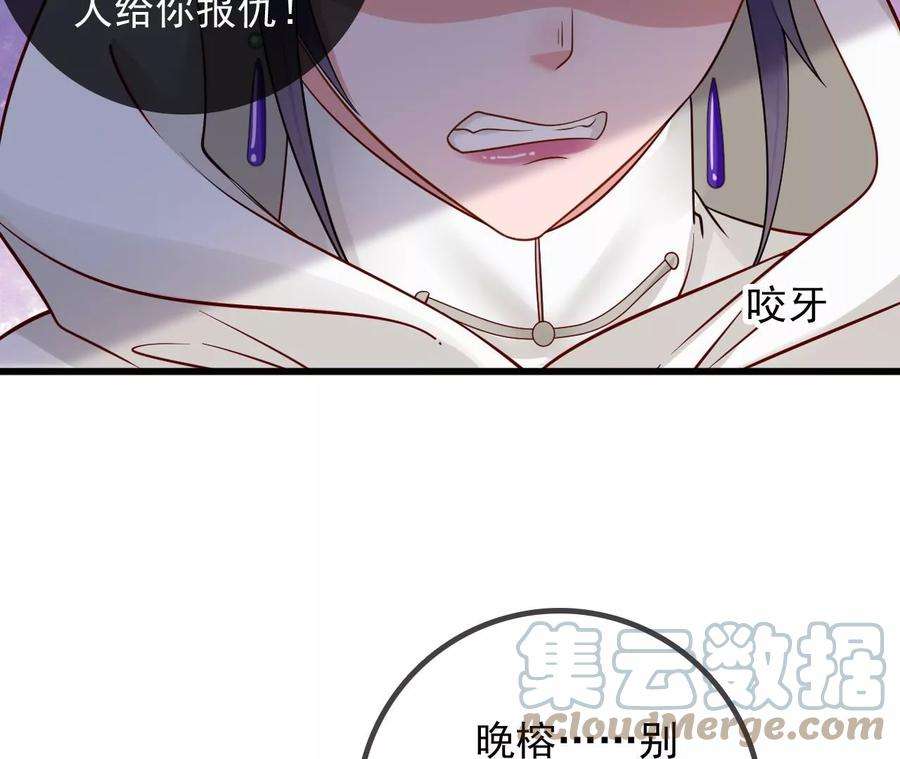 太子，你好甜140话 母亲的遗物