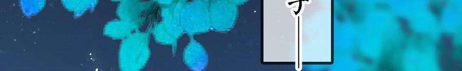 太子，你好甜143话 不可以色色的