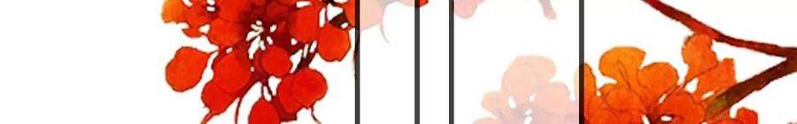 太子，你好甜149话 你喜欢我哥哥