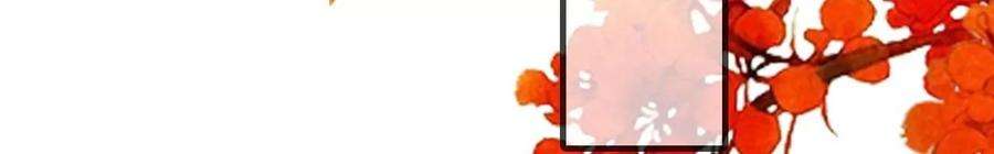 太子，你好甜149话 你喜欢我哥哥