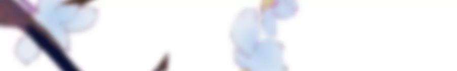 太子，你好甜160话 无头尸体